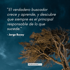 "El verdadero buscador crece y aprende, y descubre que siempre es el principal responsable de lo que sucede." - Jorge Bucay