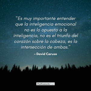 "Es muy importante entender que la inteligencia emocional no es lo opuesto a la inteligencia, no es el triunfo del corazón sobre la cabeza, es la intersección de ambas."  – David Caruso